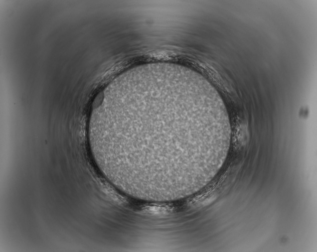 X0000097910466200804111117