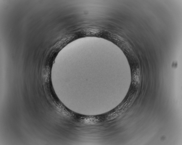 X0000097910468200804111117