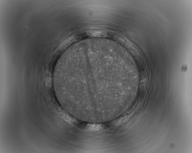 X0000097910469200804111117