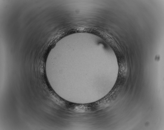 X0000097910470200804111117