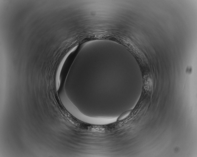 X0000097910471200804111118