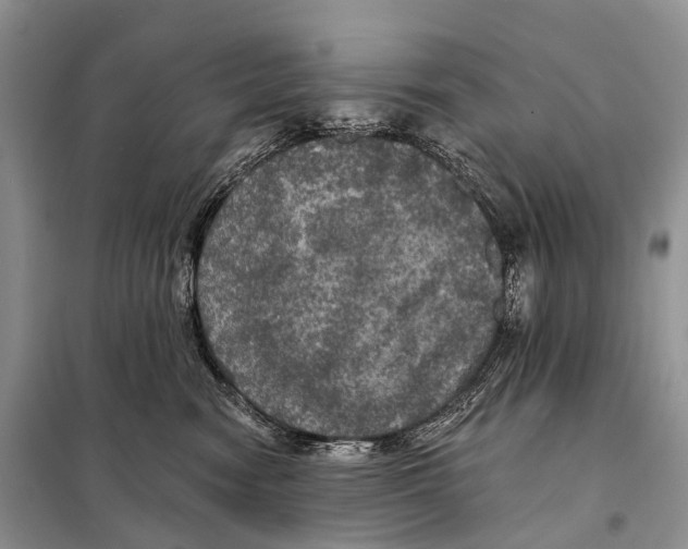 X0000097910474200804111118