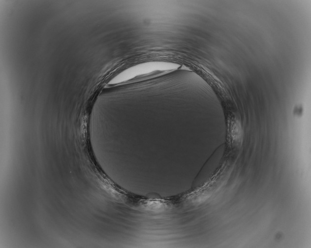 X0000097910475200804111118