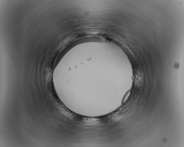 X0000097910476200804111118