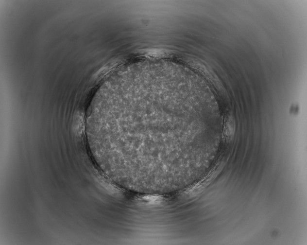 X0000097910478200804111118