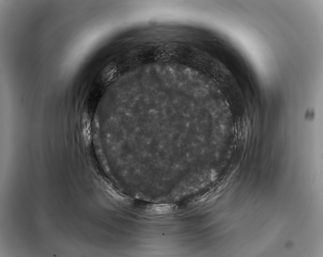 X0000097910479200804111118