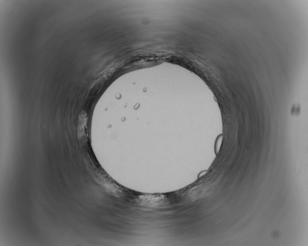 X0000097910480200804111118