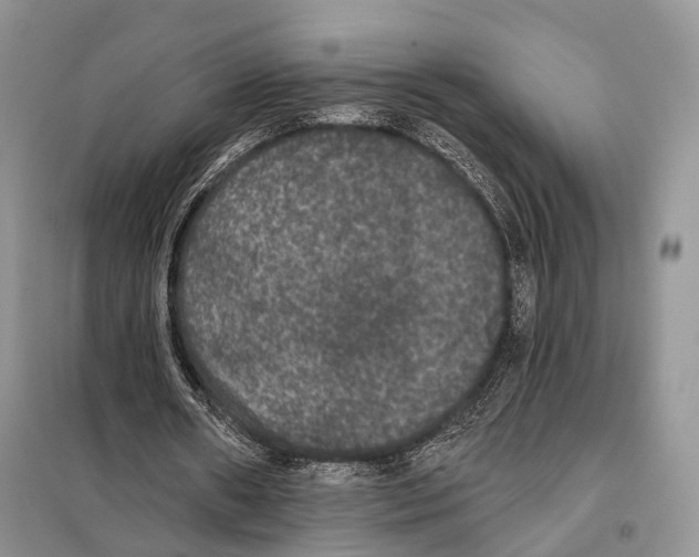 X0000097910482200804111117