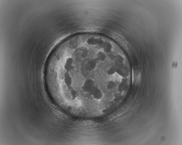 X0000097910483200804111117