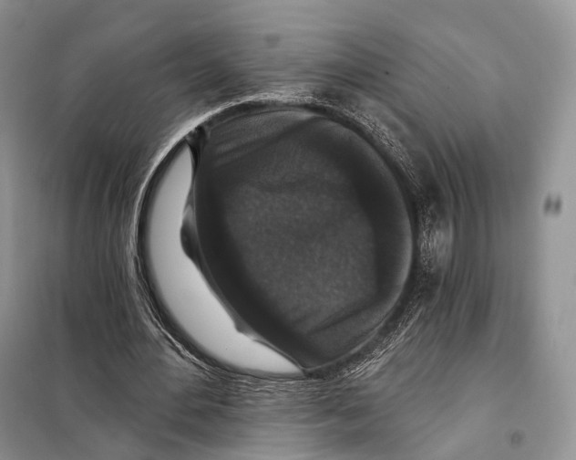 X0000097910484200804111117