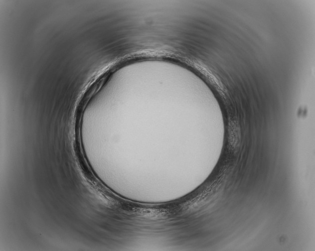 X0000097910486200804111117