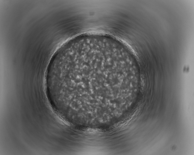 X0000097910487200804111117