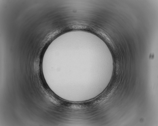 X0000097910490200804111117