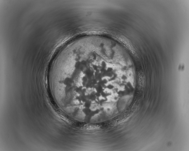 X0000097910491200804111117