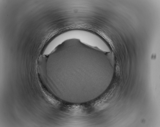 X0000097910493200804111117