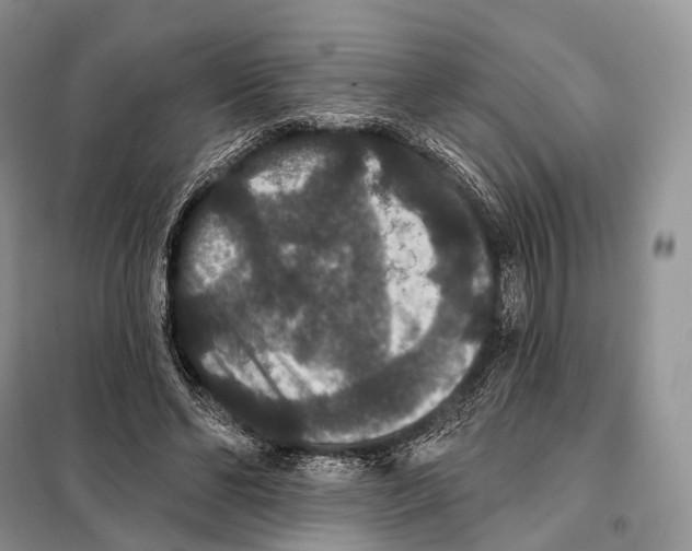 X0000097910494200804111117