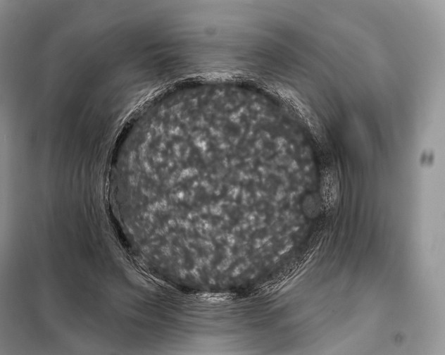 X0000097910495200804111117