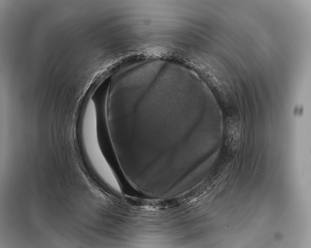 X0000097910496200804111117