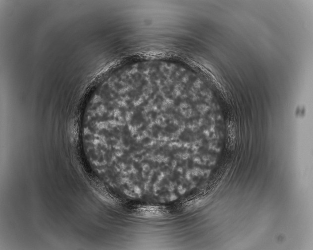 X0000097910499200804111117