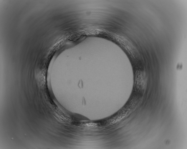 X0000097910501200804111117