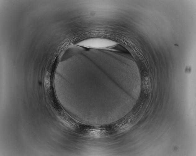 X0000097910504200804111116