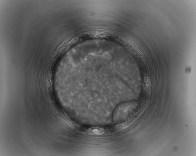 X0000097910506200804111116