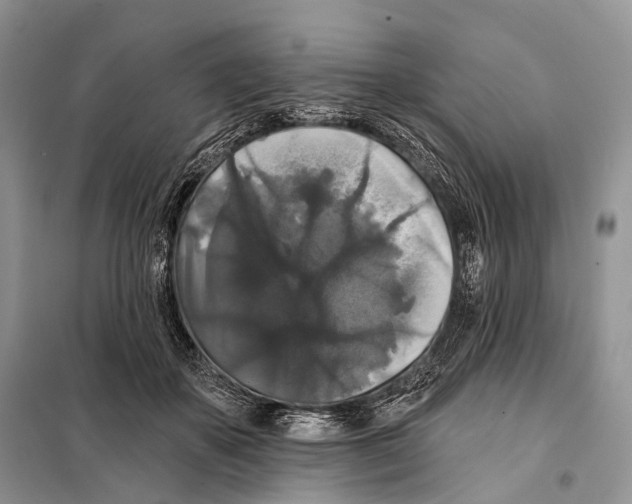 X0000097910507200804111116