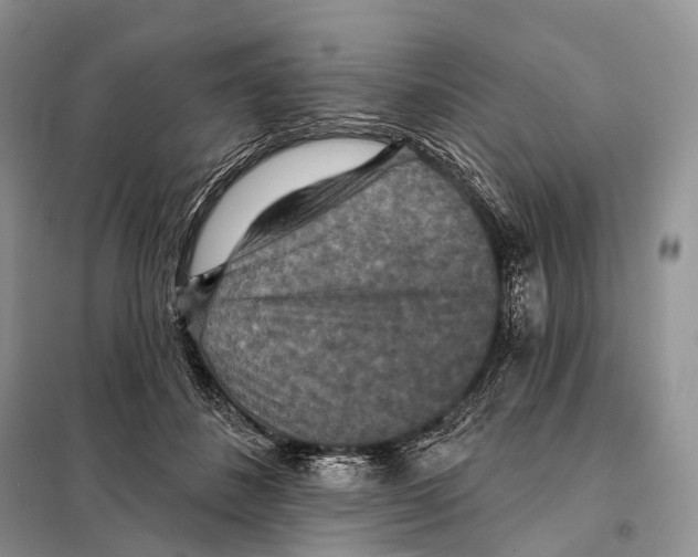 X0000097910508200804111116