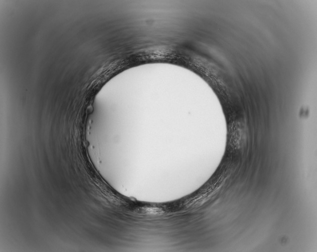 X0000097910509200804111116