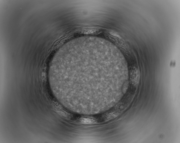 X0000097910510200804111116