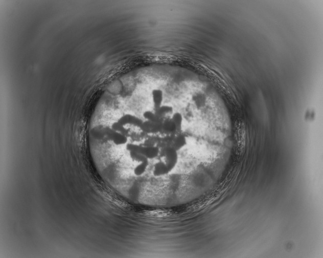 X0000097910511200804111116