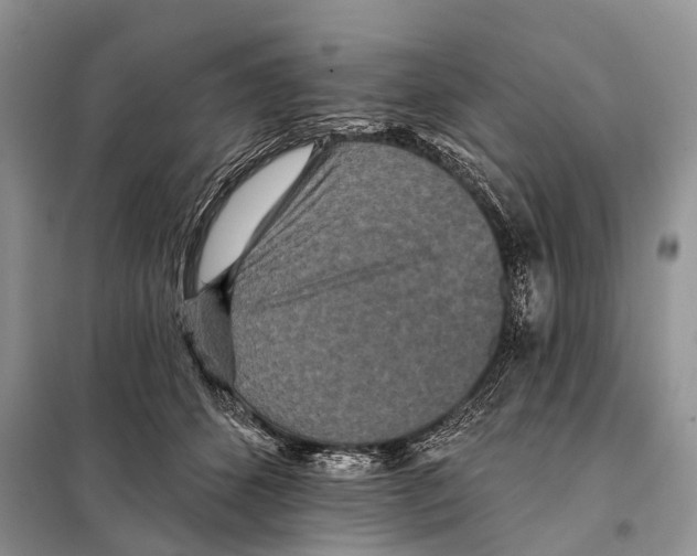 X0000097910512200804111116