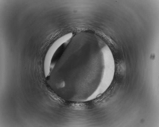 X0000097910517200804111116