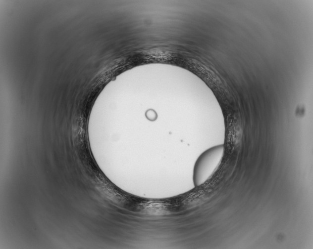 X0000097910518200804111116