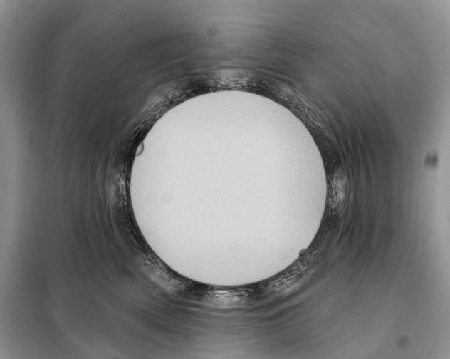 X0000097910522200804111116