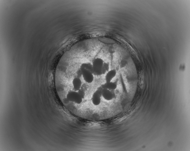 X0000097910523200804111116