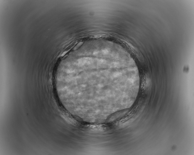 X0000097910524200804111116