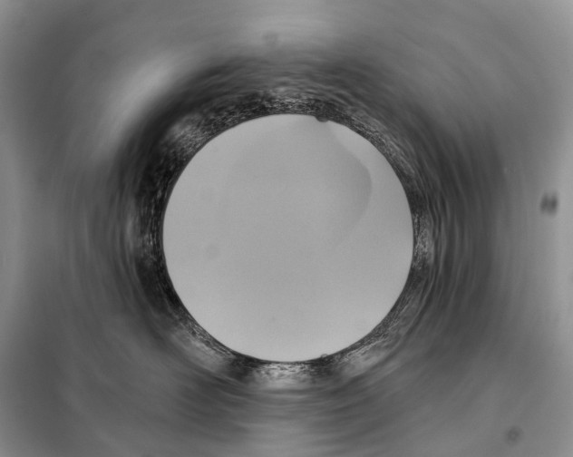 X0000097910526200804111116