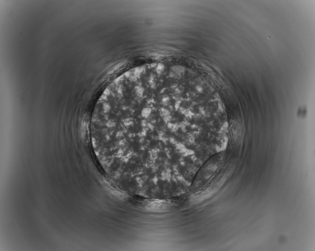 X0000097910527200804111116