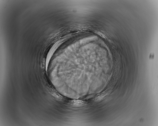 X0000097910528200804111116