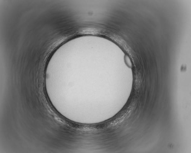 X0000097910529200804111115