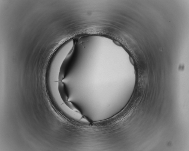 X0000097910530200804111115