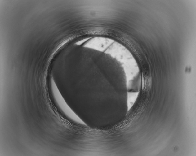 X0000097910531200804111115