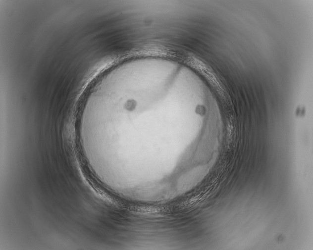 X0000097910534200804111115