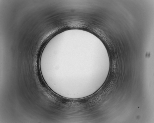 X0000097910535200804111115