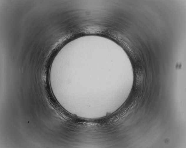 X0000097910539200804111115