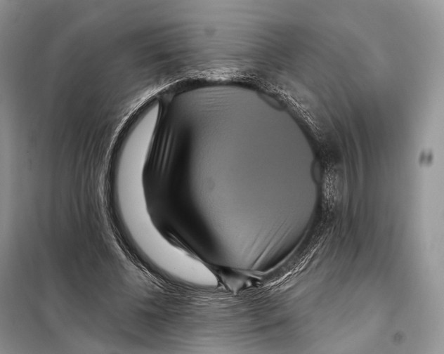 X0000097910540200804111115