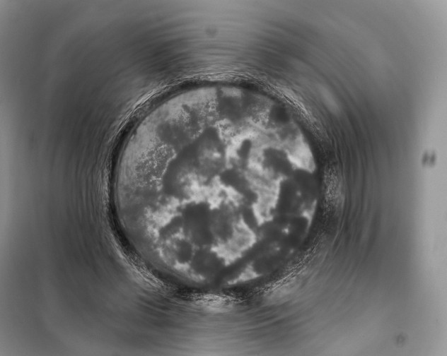 X0000097910542200804111115