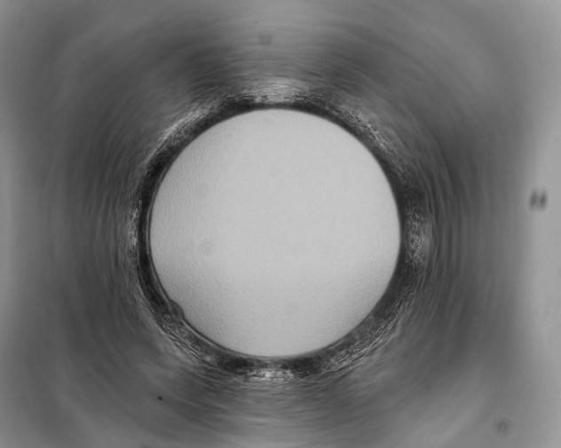 X0000097910543200804111115