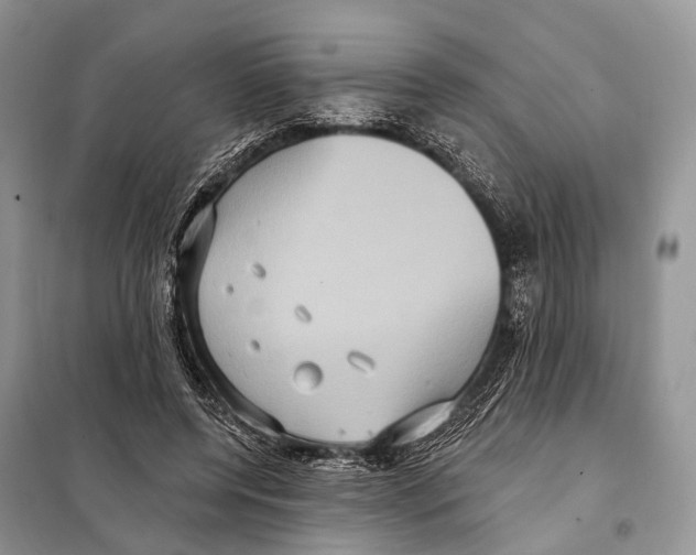 X0000097910544200804111116